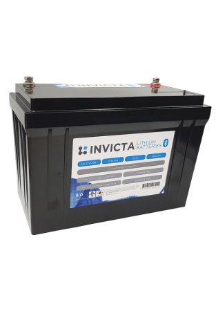 SNL12V125BT(1)Print-650x932